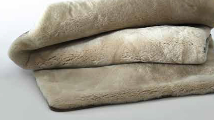 ロイヤルシープトン-シルバー