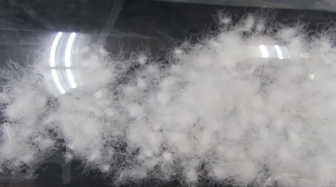 透明なケースに入った羽毛