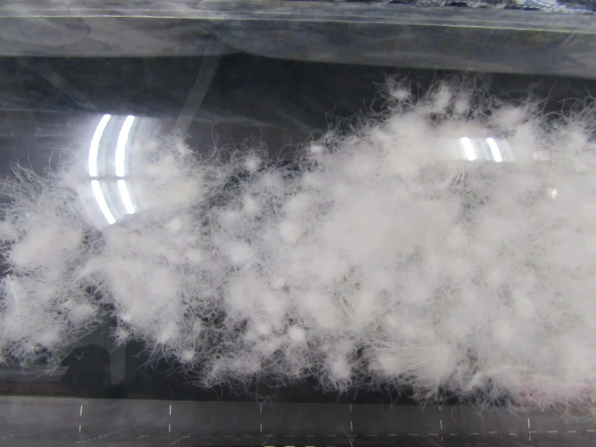 透明なケースに入った羽毛