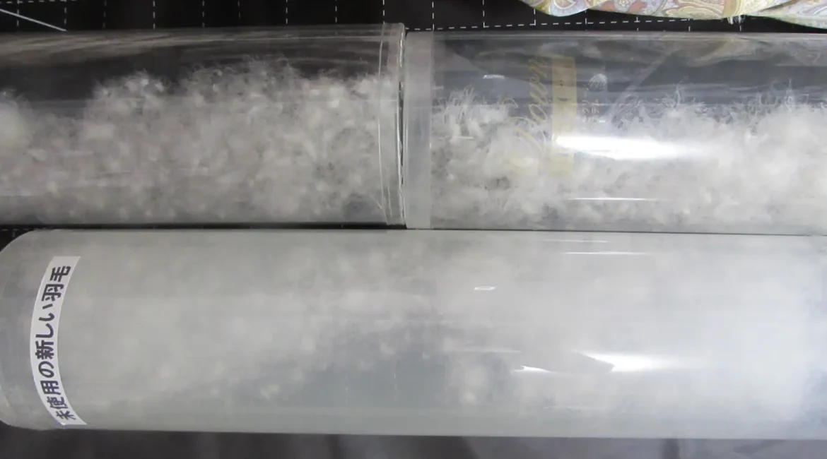 透明な筒に入った新しい羽毛と古い羽毛