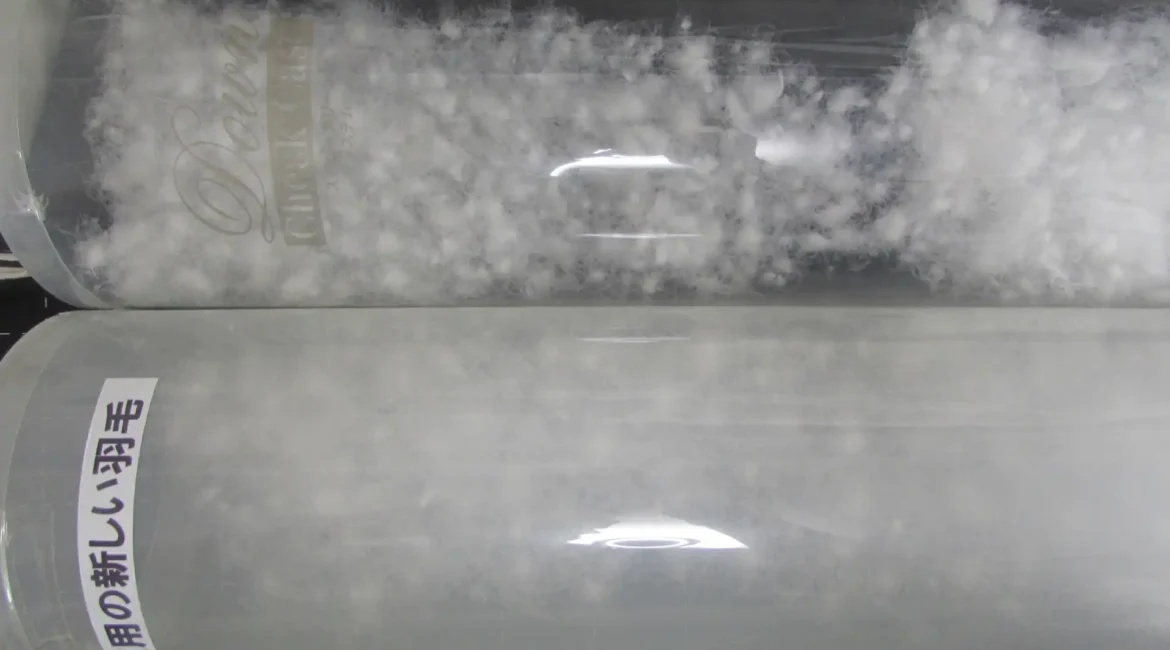 透明な筒に入った新しい羽毛と古い羽毛