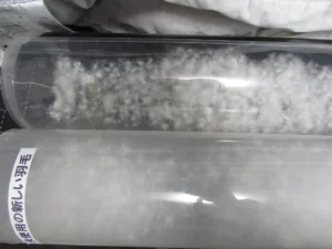 透明な筒に入った新しい羽毛と古い羽毛