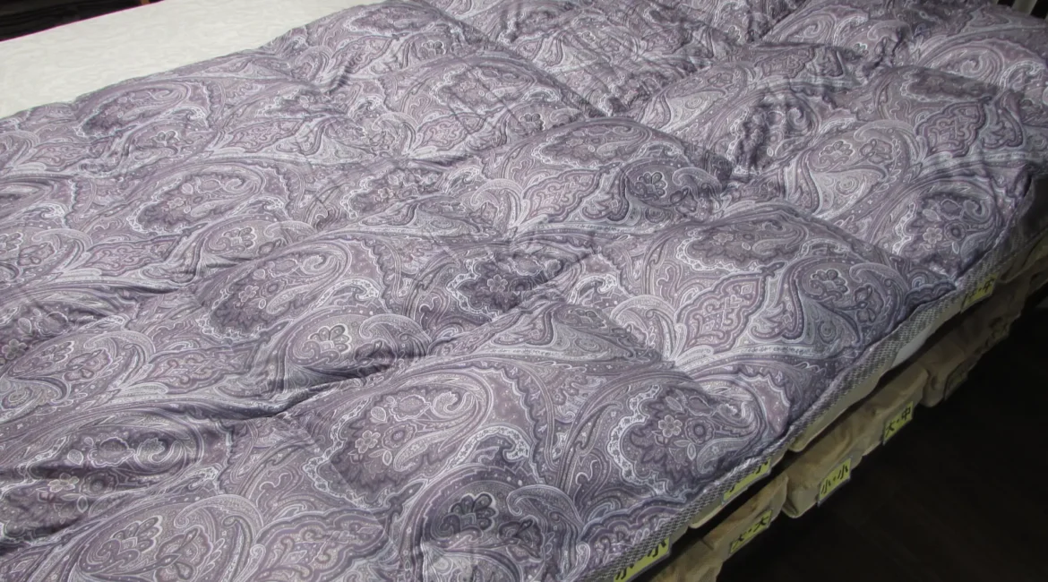 西川ウクライナ産マザーグース９３％入りの高級羽毛-1