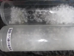 透明な筒に入った新しい羽毛と古い羽毛