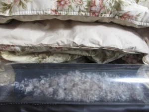 羽毛布団と透明な筒に入った羽毛