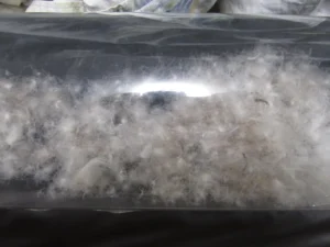 透明な筒に入った羽毛