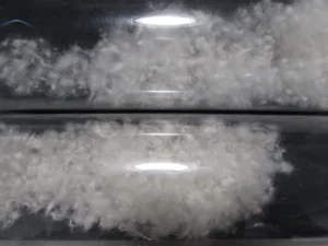 透明な筒に入った新しい羽毛と古い羽毛