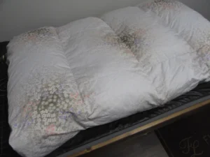 羽毛ふとんのリフォーム診断F-1