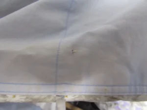 羽毛ふとんのリフォーム診断F-2