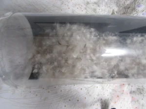 羽毛ふとんのリフォーム診断F-3