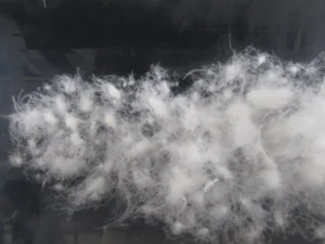 ファイバー(ちぎれたダウン)