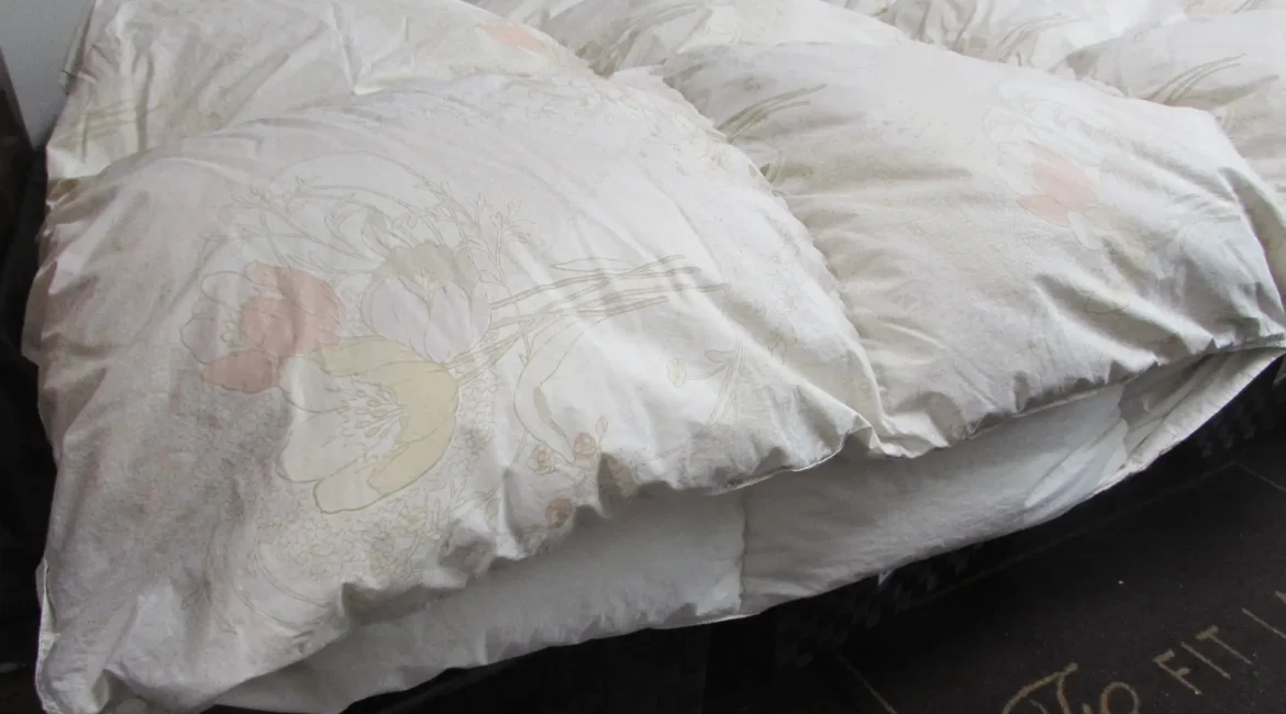 二枚合せ（デュエットタイプ）1