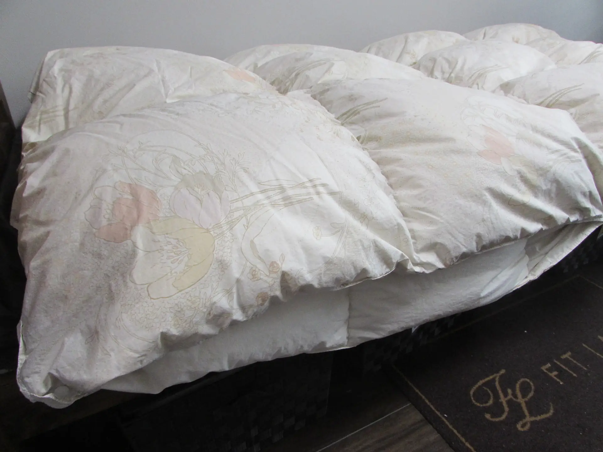 二枚合せ（デュエットタイプ）1