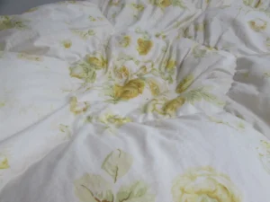 羽毛ふとんのリフォーム診断2