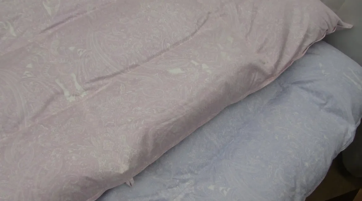 ゴアテックス生地ロイヤルスター