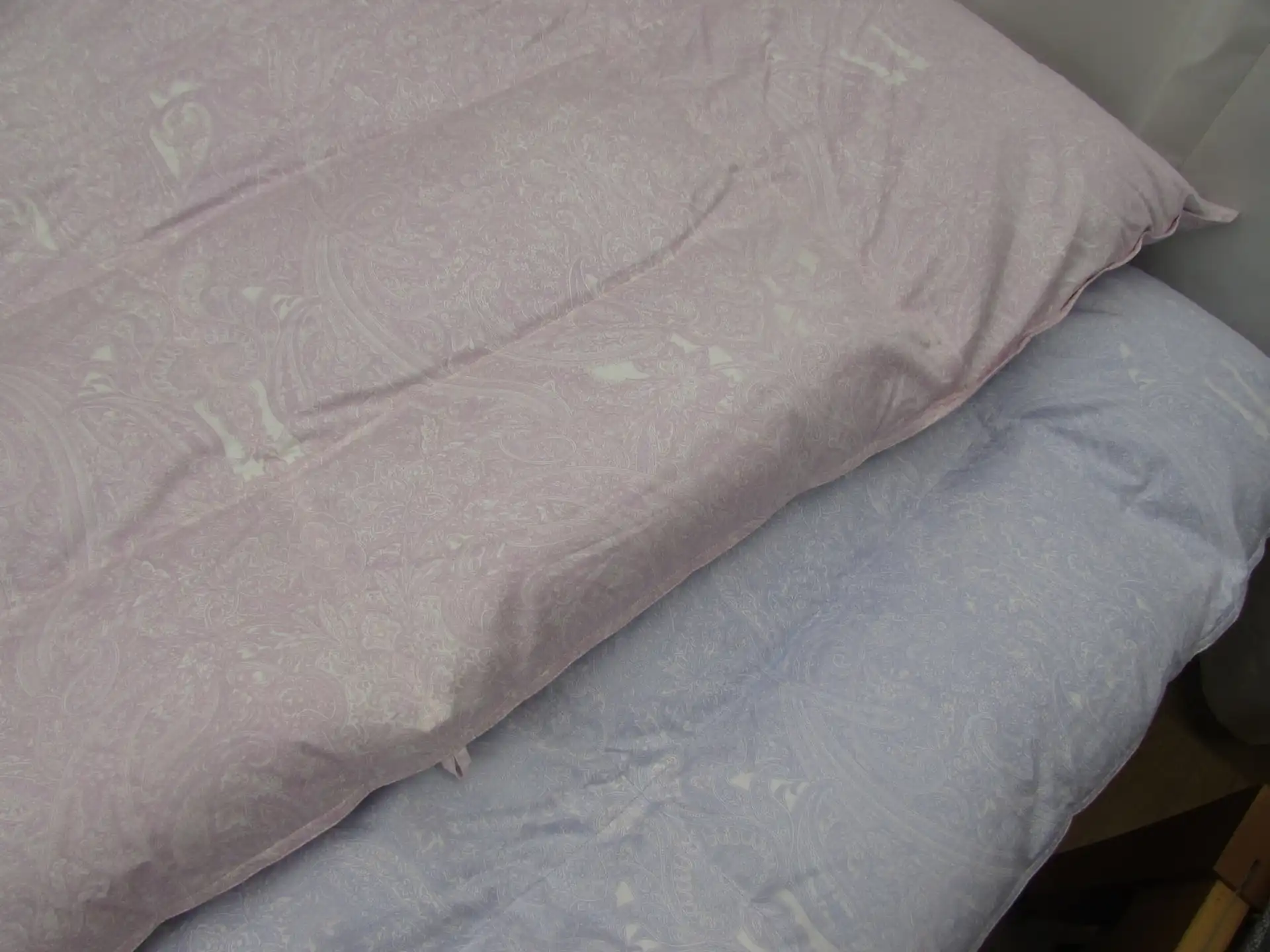 ゴアテックス生地ロイヤルスター