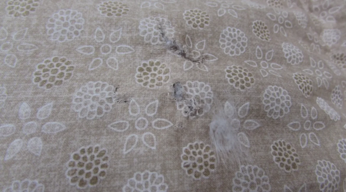 穴の開いた羽毛布団