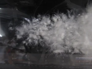 玉状になった羽毛