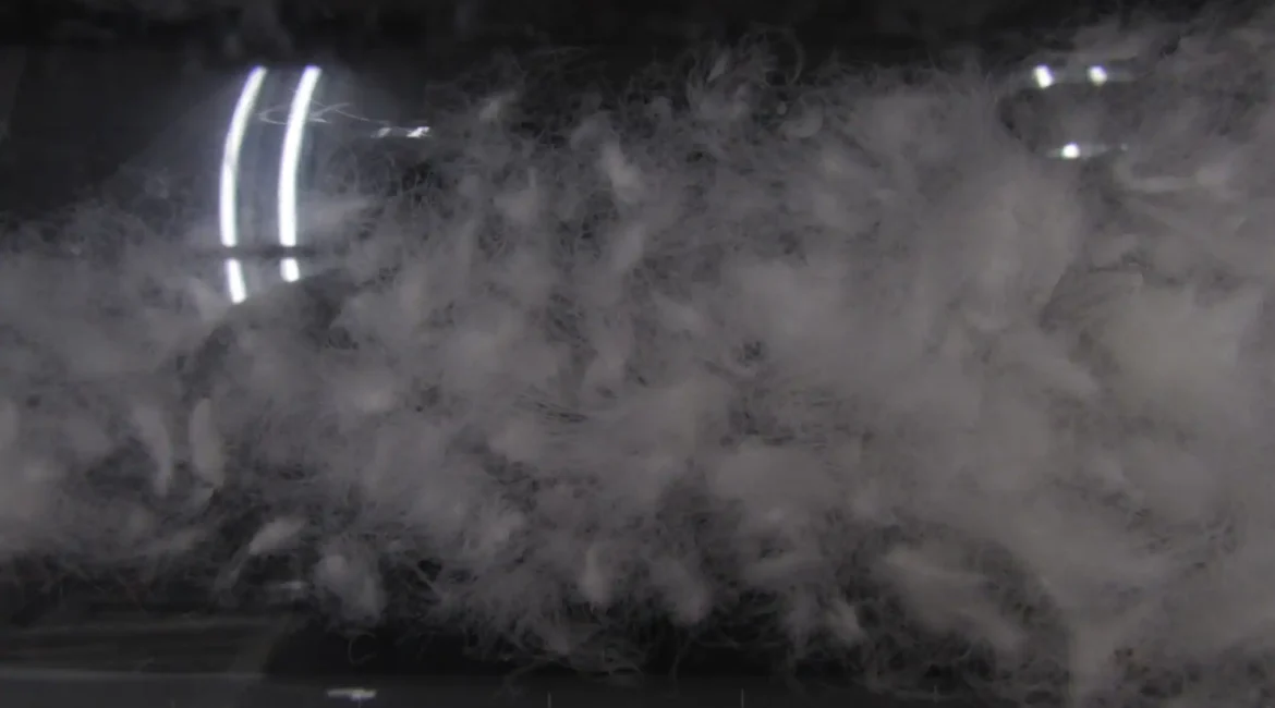 筒に入った羽毛