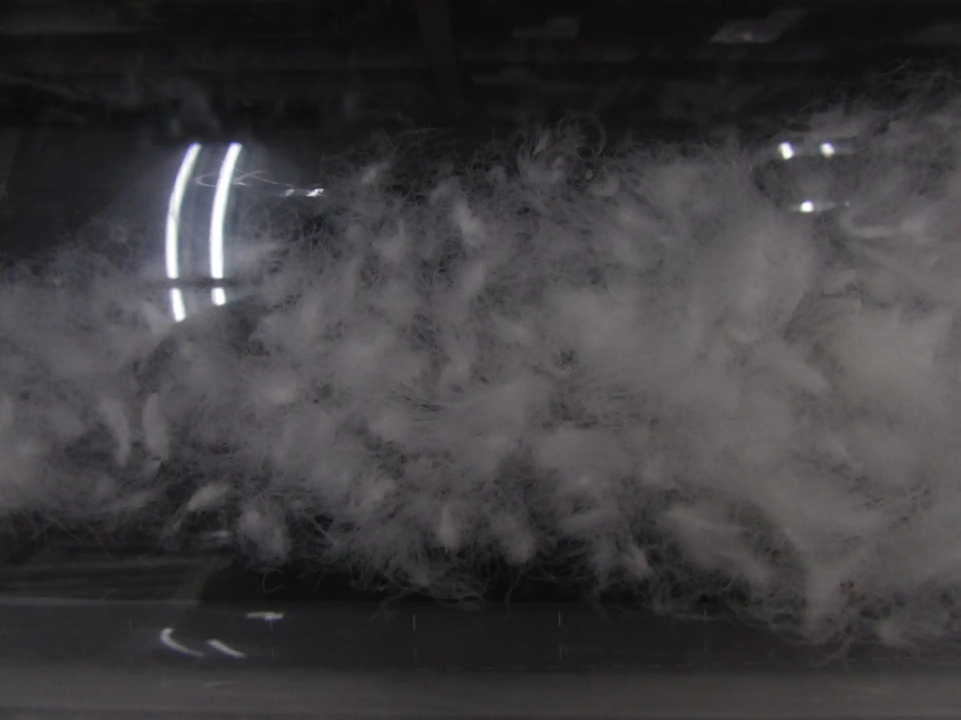 筒に入った羽毛