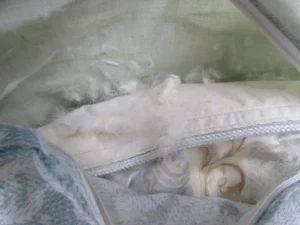 カバーの中で羽毛が出てきている