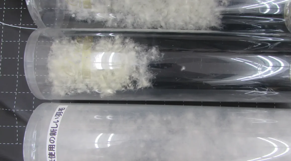 透明な筒に入った羽毛