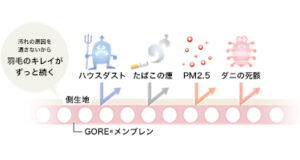 ロイヤルスター図解1
