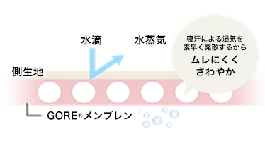 ロイヤルスター図解3
