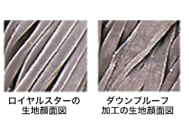 ロイヤルスター図解5