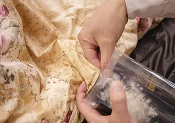 診断のために羽毛をつめるところ