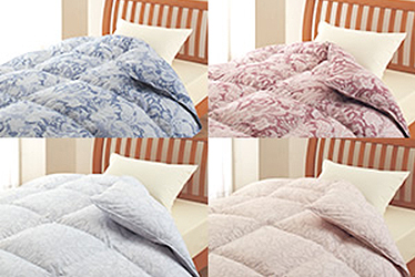 スタンダードコース