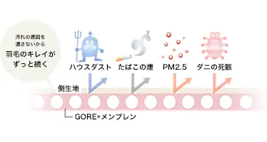 ロイヤルスター図解1
