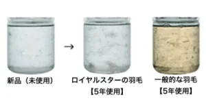 ロイヤルスター図解2